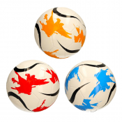 Football Size 5 (Inflated)