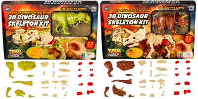Dinosaur 3D Skeleton Kit (2 asstd)